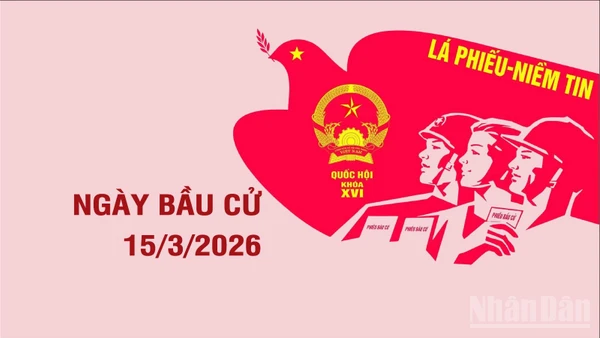 [Infographic] Thông tin cần biết về Ngày Bầu cử