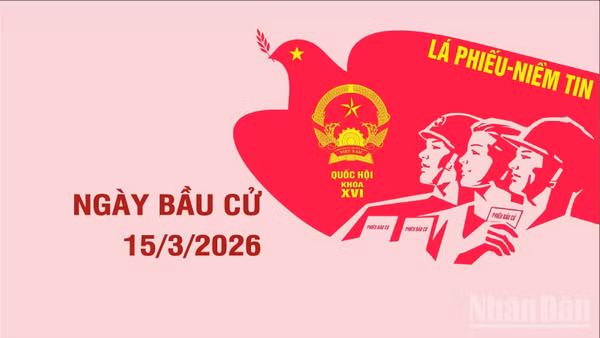 [Infographic] Thông tin cần biết về Ngày Bầu cử