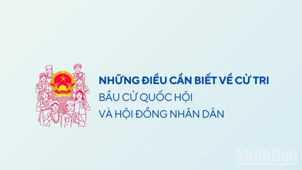 [Infographic] Những điều cần biết về cử tri