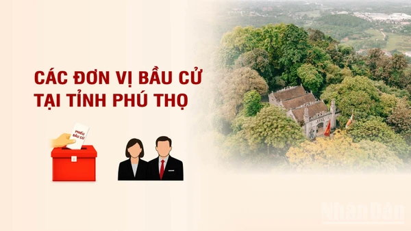 [Infographic] Các đơn vị bầu cử đại biểu Quốc hội tại tỉnh Phú Thọ