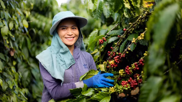 Kinh tế tuần hoàn là động lực chuyển đổi xanh 