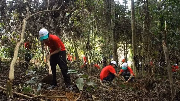 Trong ảnh: Các em học sinh và các tình nguyện viên tham gia trồng rừng tại Vườn quốc gia Bến En, tỉnh Thanh Hóa. (Ảnh: Trịnh Duy Hưng - TTXVN)