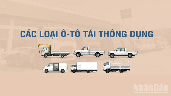 [Infographic] Các loại xe tải thông dụng theo Thông tư số 53/2024/TT-BGTVT 