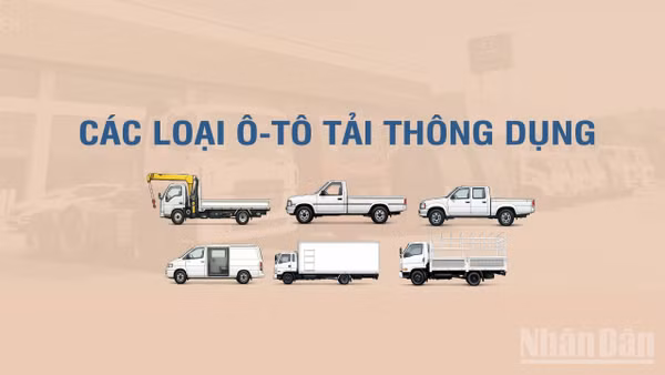 [Infographic] Các loại xe tải thông dụng theo Thông tư số 53/2024/TT-BGTVT 