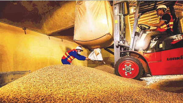 Chế biến cà-phê xuất khẩu tại Công ty Simexco DakLak. (Ảnh MINH ANH)