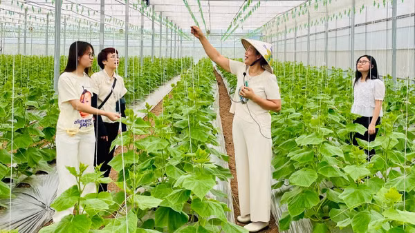 Du khách tham quan trang trại Thanh Nga Luxury. (Ảnh: TRANG ANH)