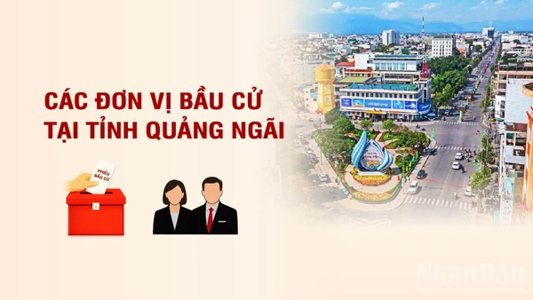 [Infographic] Các đơn vị bầu cử đại biểu Quốc hội tại tỉnh Quảng Ngãi