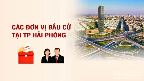 [Infographic] Các đơn vị bầu cử đại biểu Quốc hội tại thành phố Hải Phòng