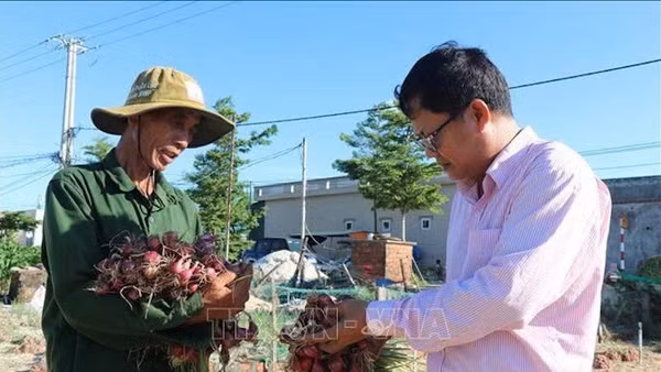 Nâng cao hiệu quả hoạt động tín dụng chính sách xã hội vùng biên giới, hải đảo.