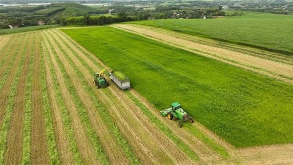 Ảnh minh họa. (Ảnh: Vũ Sinh - TTXVN)