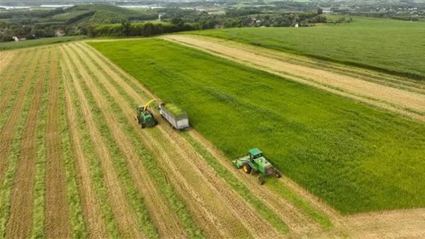 Ảnh minh họa. (Ảnh: Vũ Sinh - TTXVN)