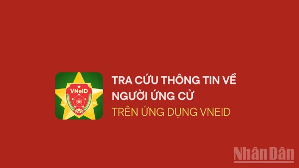 [Infographic] Cách tra cứu thông tin về người ứng cử đại biểu Quốc hội và Hội đồng nhân dân trên VNeID
