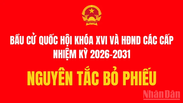 [Infographic] Nguyên tắc bỏ phiếu bầu đại biểu Quốc hội và Hội đồng nhân dân các cấp