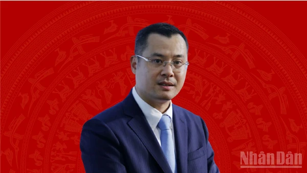 [Infographic] Tiểu sử tân Bí thư Tỉnh ủy Phú Thọ Phạm Đại Dương