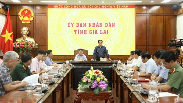 Phó Thủ tướng đề nghị tỉnh Gia Lai tập trung tối đa lực lượng, phương tiện nhanh chóng khắc phục hậu quả của bão. (Ảnh: VGP)