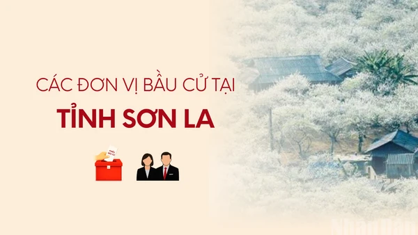 [Infographic] Các đơn vị bầu cử đại biểu Quốc hội tại tỉnh Sơn La
