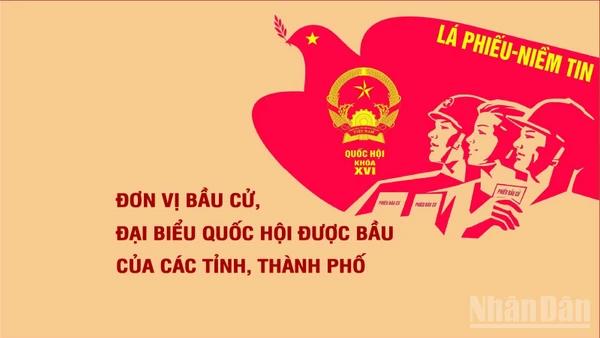 [Infographic] Số lượng đơn vị bầu cử và số lượng đại biểu Quốc hội được bầu tại các tỉnh, thành phố