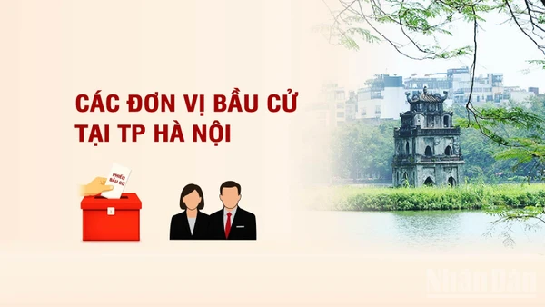 [Infographic] Các đơn vị bầu cử đại biểu Quốc hội tại thành phố Hà Nội