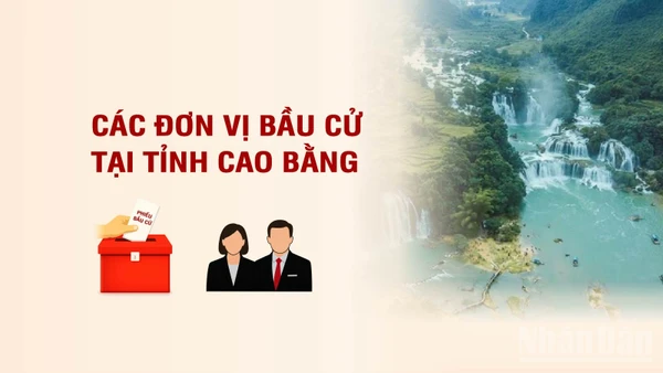 [Infographic] Các đơn vị bầu cử đại biểu Quốc hội tại tỉnh Cao Bằng
