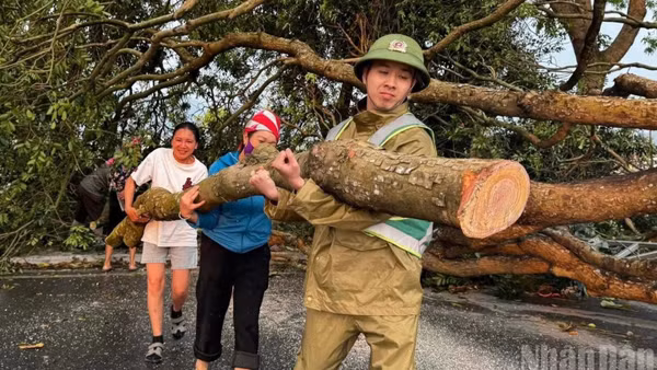 Nhân dân phường Cầu Thia cùng nhau dọn dẹp cây đổ sau dông, lốc. (Ảnh: THANH SƠN)
