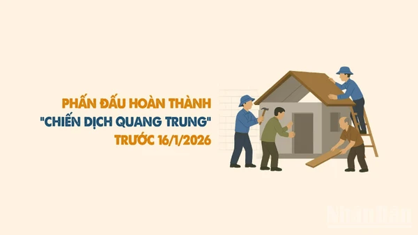 [Infographic] Phấn đấu đến 15/1/2026 hoàn thành "Chiến dịch Quang Trung" chào mừng Đại hội Đảng XIV