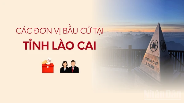 [Infographic] Các đơn vị bầu cử đại biểu Quốc hội tại tỉnh Lào Cai