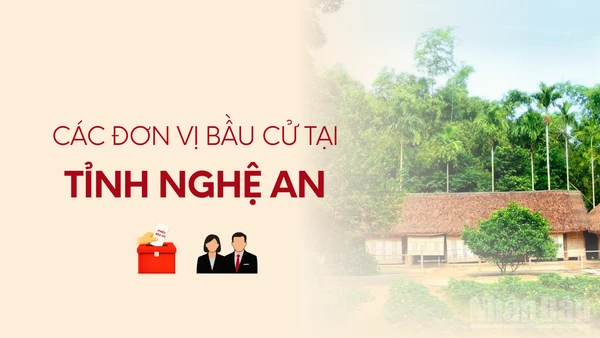 [Infographic] Các đơn vị bầu cử đại biểu Quốc hội tại tỉnh Nghệ An