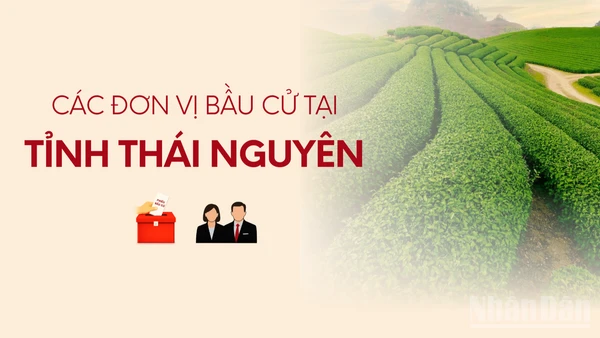 [Infographic] Các đơn vị bầu cử đại biểu Quốc hội tại tỉnh Thái Nguyên