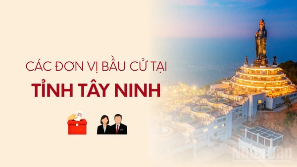 [Infographic] Các đơn vị bầu cử đại biểu Quốc hội tại tỉnh Tây Ninh