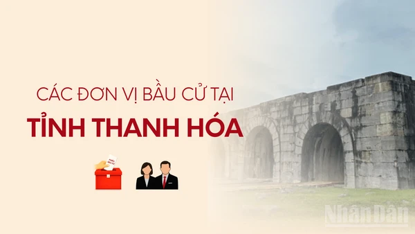 [Infographic] Các đơn vị bầu cử đại biểu Quốc hội tại tỉnh Thanh Hóa