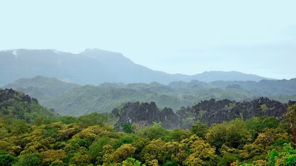 Còn nhiều khó khăn trong công tác quản lý, bảo vệ rừng. (Ảnh: HẠNH VÂN)