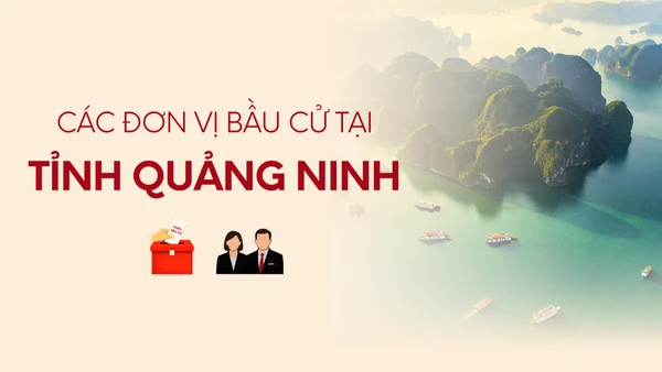 [Infographic] Các đơn vị bầu cử đại biểu Quốc hội tại tỉnh Quảng Ninh