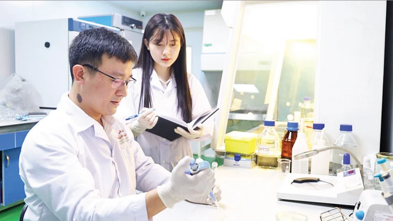 Việt Nam phát triển thành công chế phẩm thảo dược phòng trị bệnh tôm từ mật gấu, tỏi, chè xanh