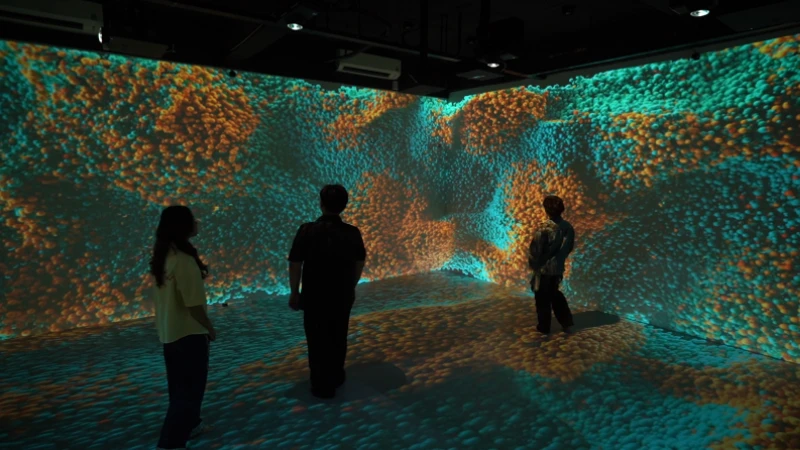 UEH Ra Mắt Immersive Room: Bước Đột Phá Trong Giáo Dục Đa Ngành Và Công Nghệ