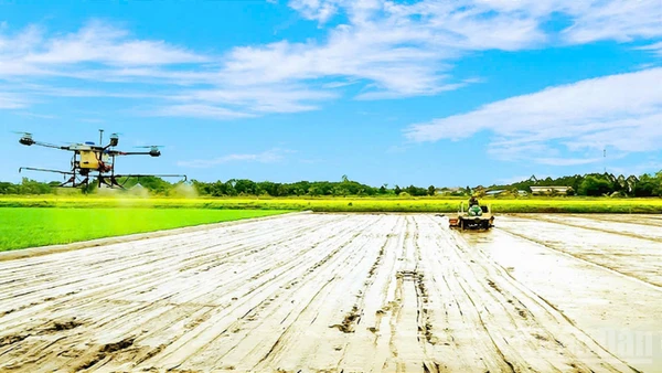 Bà con nông dân thành phố Cần Thơ ứng dụng công nghệ cao vào sản xuất. (Ảnh: nhandan.vn)