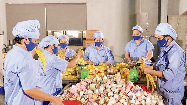 Công nhân Nhà máy Vietfoods (Khu công nghiệp Hapro, Hà Nội) trong xưởng sản xuất.