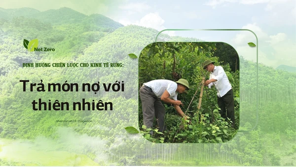 Bài 2: Trả món nợ với thiên nhiên