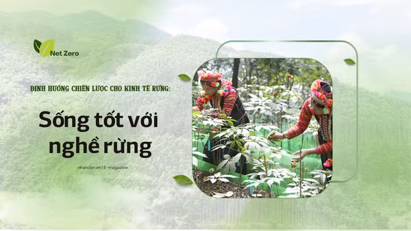 Bài 1: Sống tốt với nghề rừng