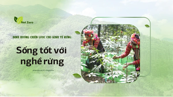 Bài 1: Sống tốt với nghề rừng