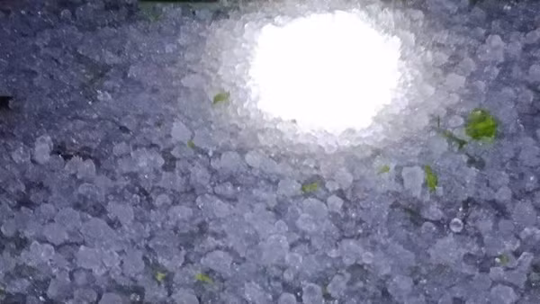 Mưa đá trên diện rộng tại xã Tùng Vài, tỉnh Tuyên Quang.