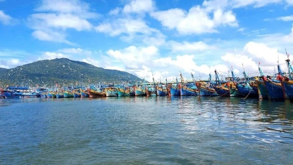 Tàu thuyền đánh cá được neo đậu an toàn tại cảng, tránh rủi ro khi bão số 13 đổ bộ. (Ảnh: VŨ TÂN)