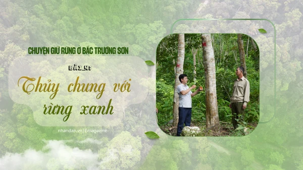 Bài 4: Thủy chung với rừng xanh