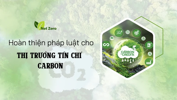 Hoàn thiện pháp luật cho thị trường tín chỉ carbon
