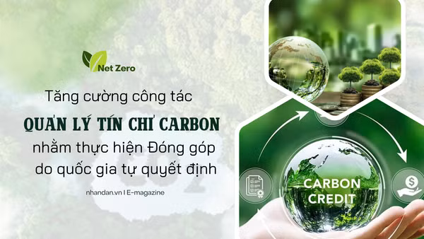 Tăng cường công tác quản lý tín chỉ carbon nhằm thực hiện Đóng góp do quốc gia tự quyết định