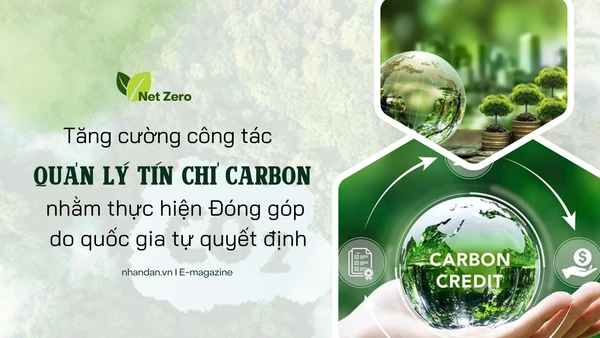 Tăng cường công tác quản lý tín chỉ carbon nhằm thực hiện Đóng góp do quốc gia tự quyết định