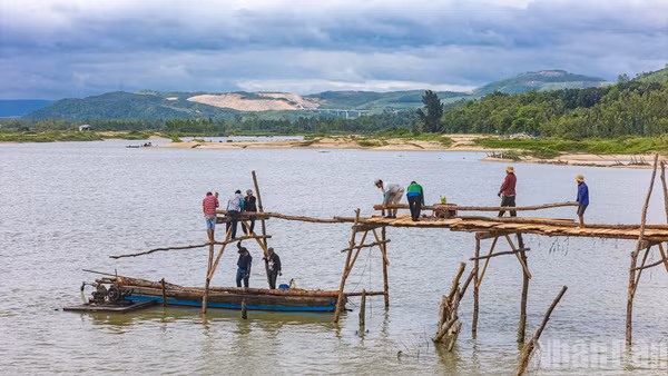 Người dân xây dựng lại cầu gỗ Ông Cọp sau khi công trình bị lũ cuốn đi vào tháng 11 vừa qua.