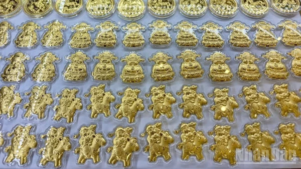 (Ảnh: NGỌC BÍCH)