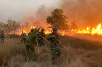 Bộ đội Biên phòng Quảng Bình tham gia cùng các lực lượng dập lửa cứu rừng trên cát ở xã Hải Ninh, huyện Quảng Ninh.
