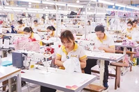 Đoàn viên, người lao động tỉnh Lào Cai thi đua hoàn thành tốt nhiệm vụ công tác, lao động, sản xuất. (Ảnh Lan Hương)
