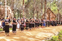 Trình diễn cồng chiêng, xoang thu hút đông đảo du khách tìm đến khám phá.